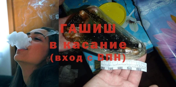 твердый Инсар